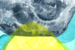 The language of abstraction