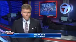 Boy hospitalized after being bitten by shark in Key Largo